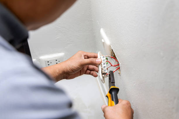Best Electric Panel Repair  in Forest City, PA